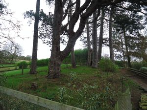 Photo 5- click for photo gallery